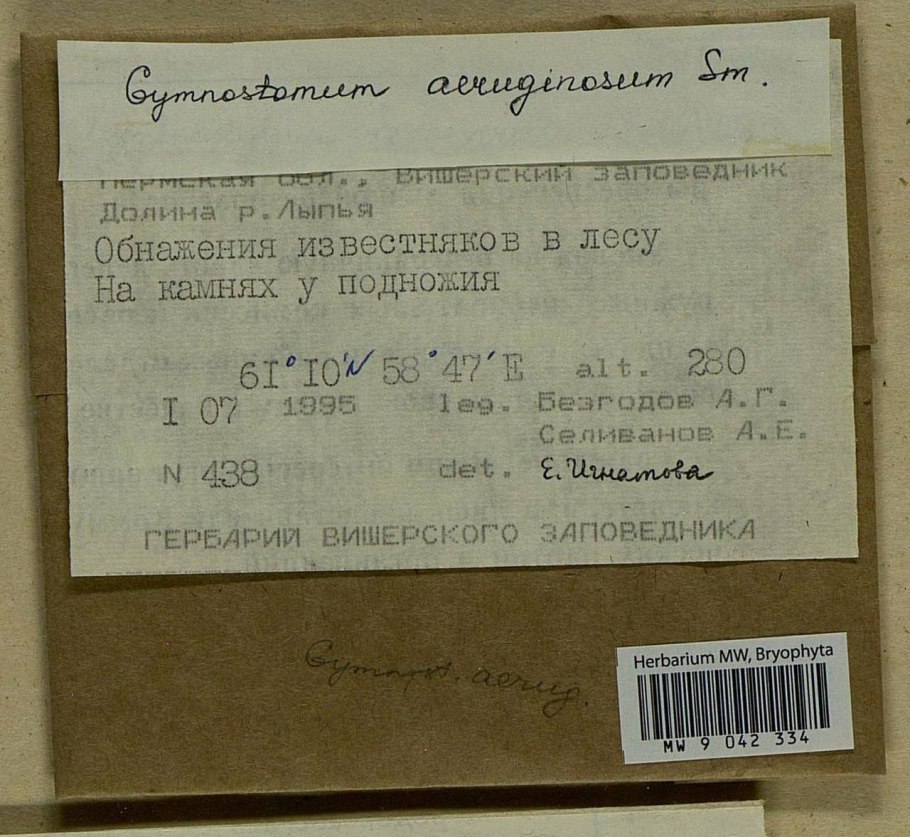 Государственные архивы