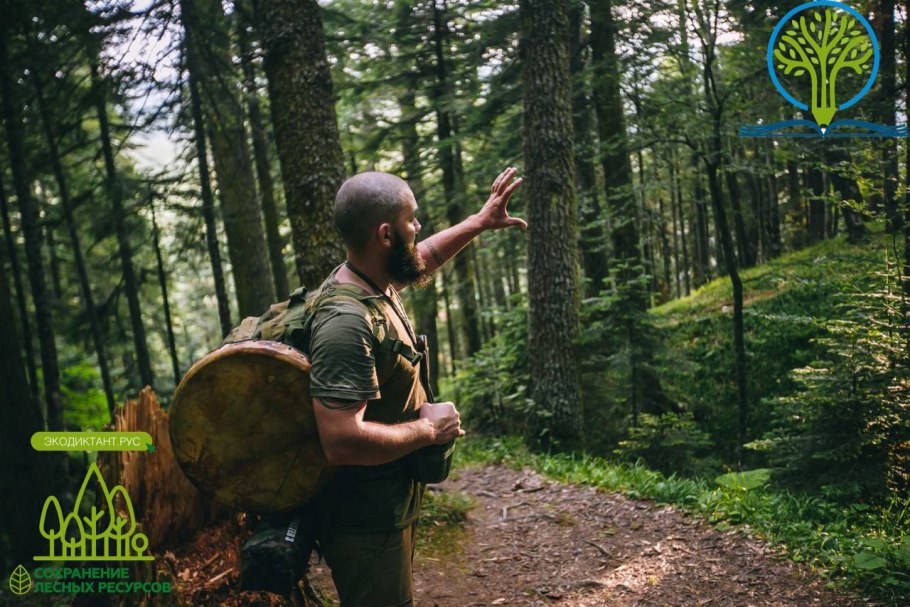 Выживание в лесу