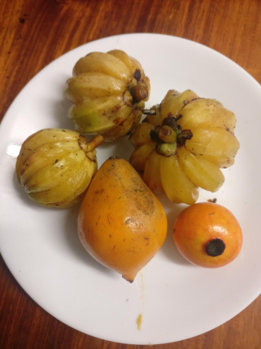 Витамины Garcinia Cambogia