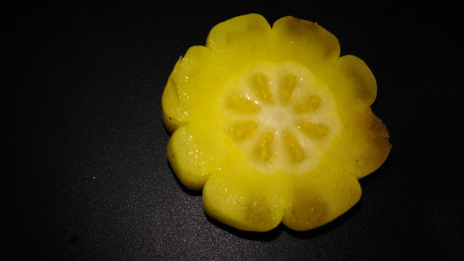 Appetite Blocker Effect fat Burner отзывы