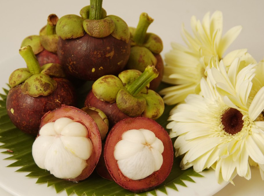 Мангостан мангустин