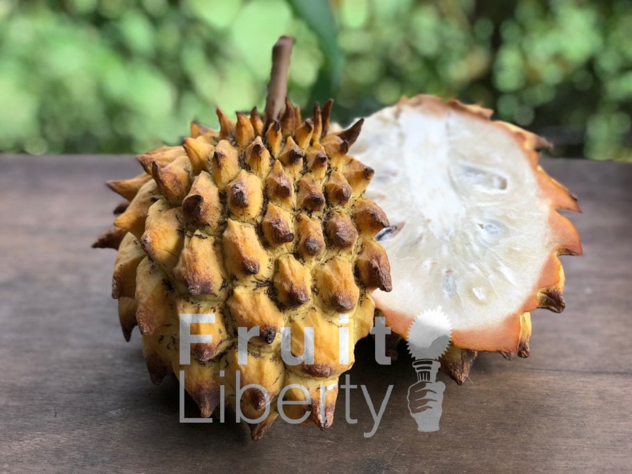 Аннона Мукоза