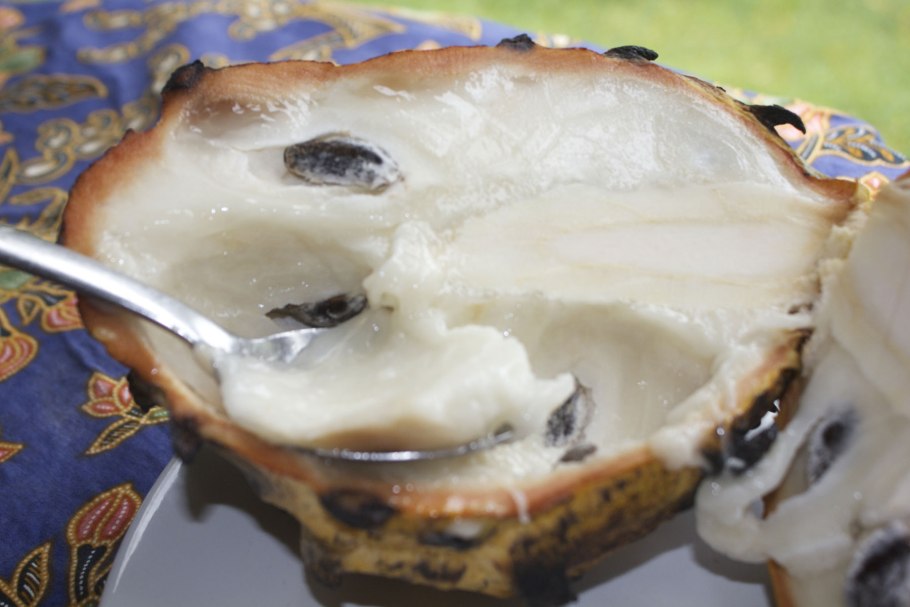 Роллиния фрукт в разрезе