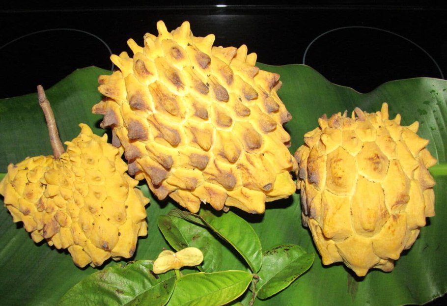 Самые необычные фрукты в мире