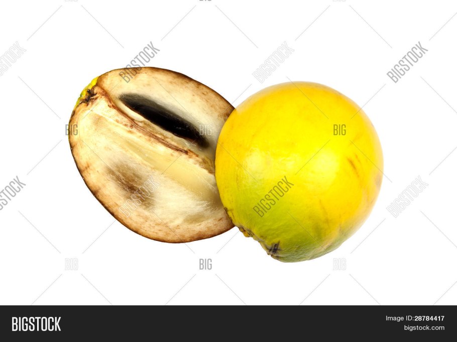 Рвотный фрукт нони