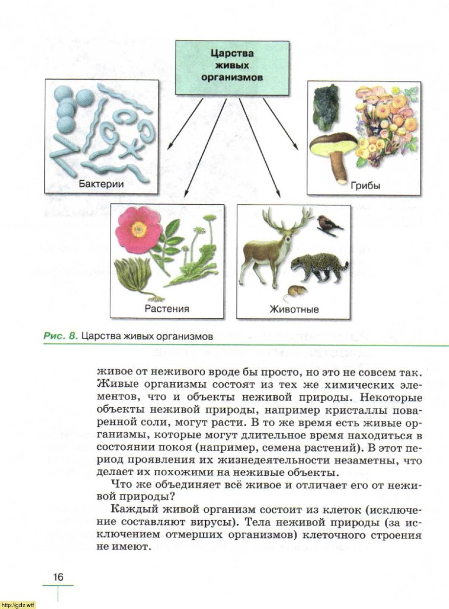Биология царства живой природы таблица