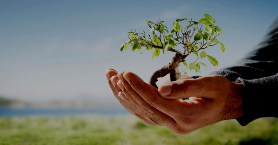 Росток картина