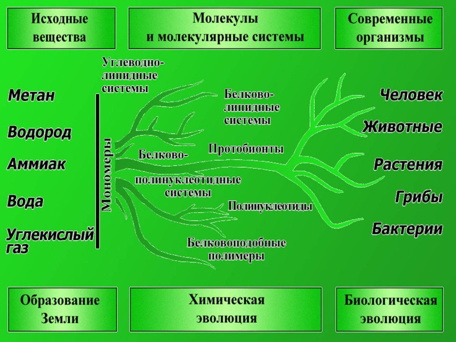 Жизнь растений.