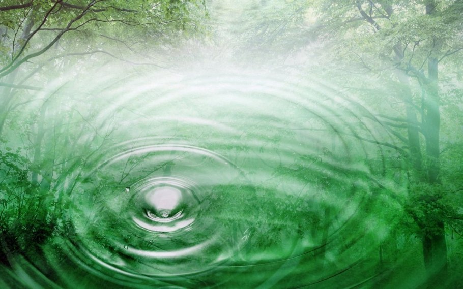 Этапы возникновения живых организмов