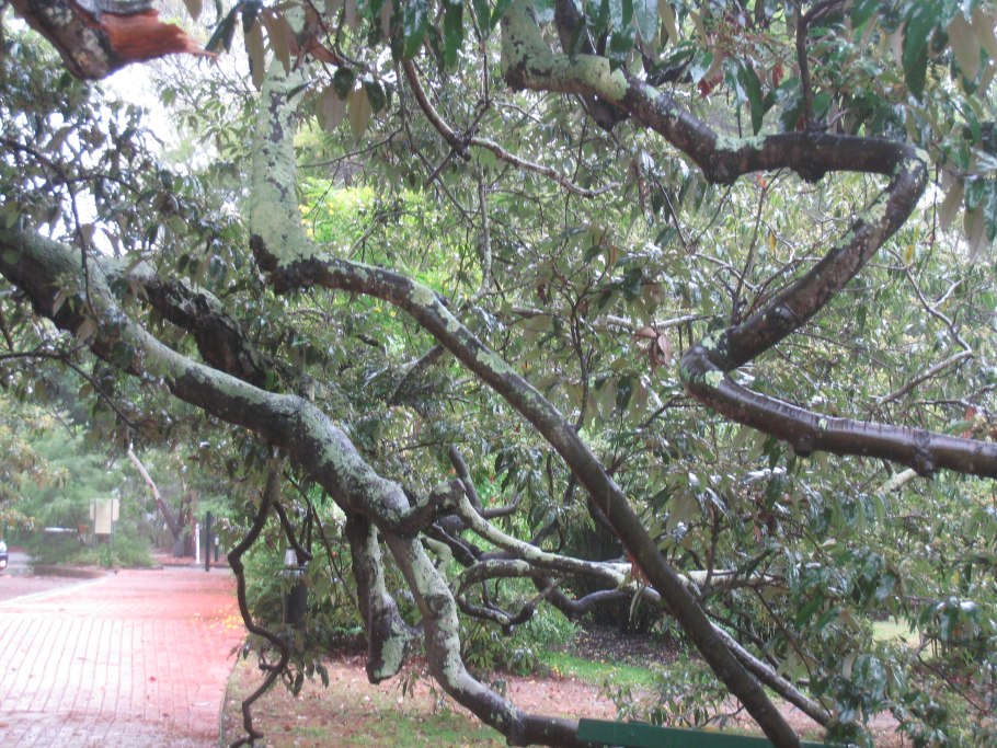 Материнская плата MSI 865gvm2-LS