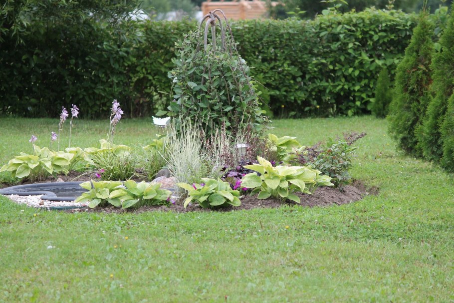 Миксбордер лилейник гортензия и хоста