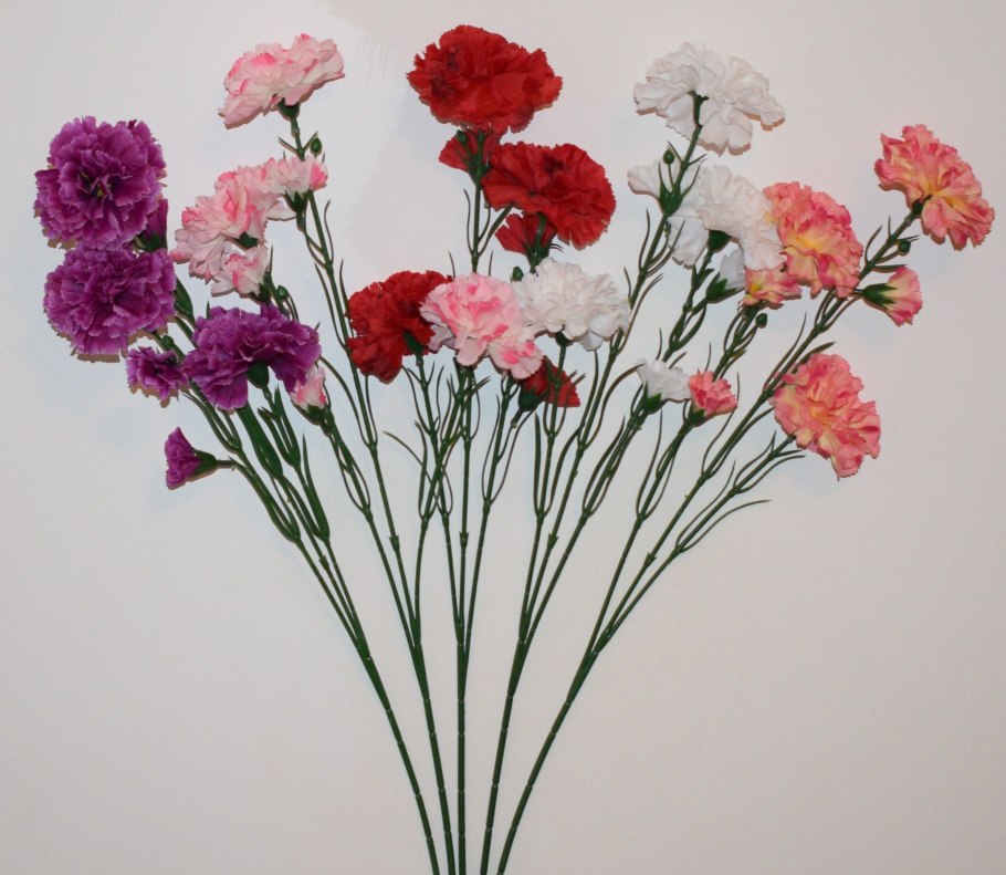 Диантус гвоздика кустовая