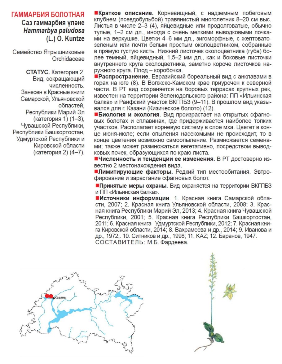 Хаммарбия Болотная