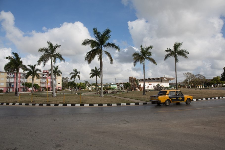 Ройстоунея маленькая