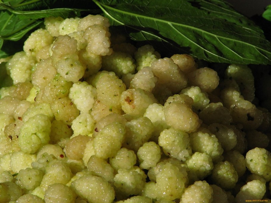 Шелковица ягода