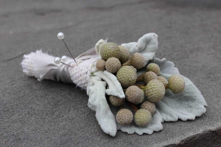 Бруния Левис Сильвер