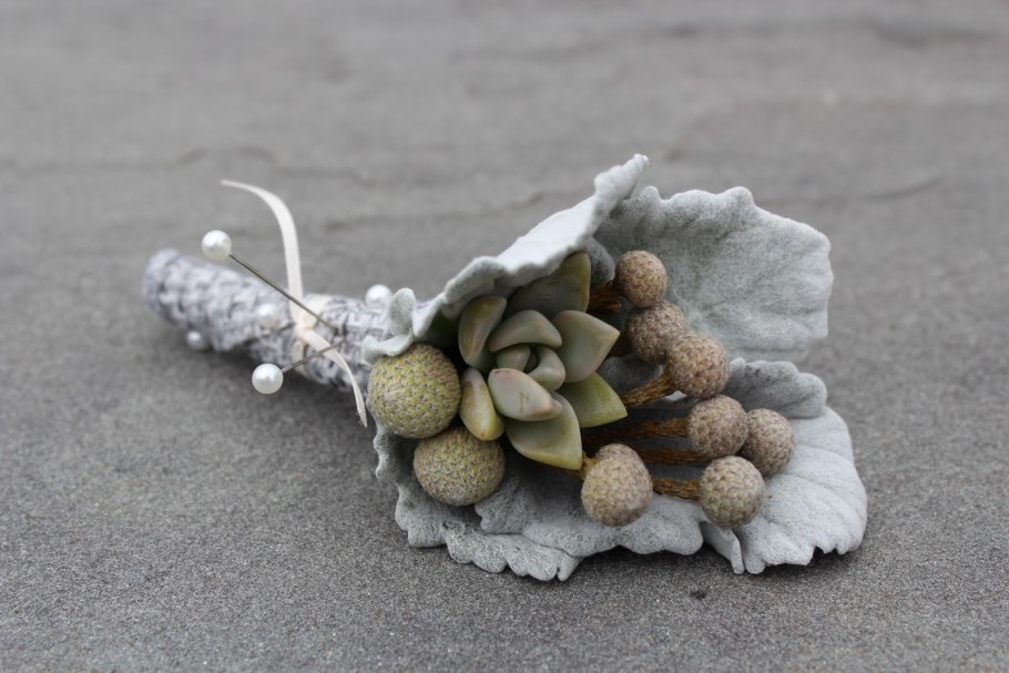 Бруния сильвер