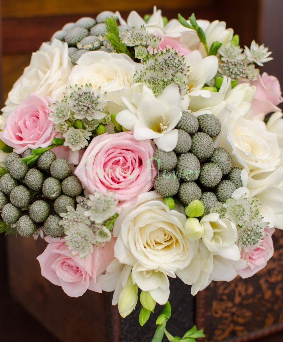 Berzelia (Берцелия)