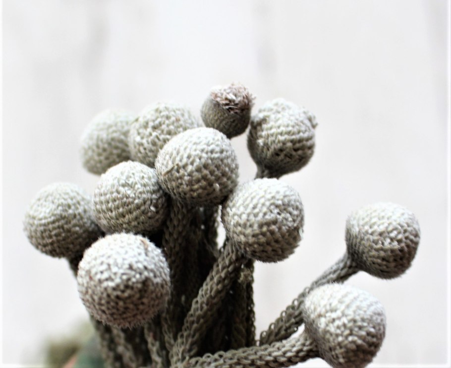 Бруния Левис Сильвер