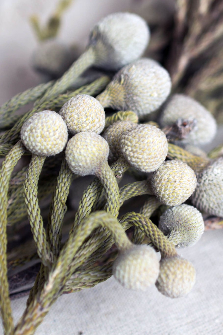 Бруния Грин Сильвер