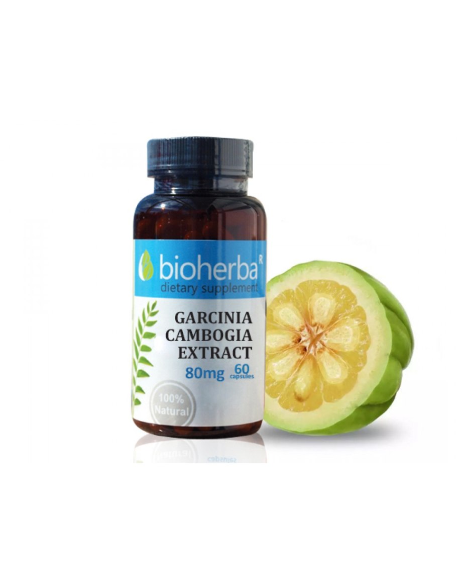 Экстракт гарцинии камбоджийской