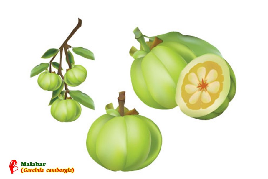 Гарциния камбоджийская фрукт