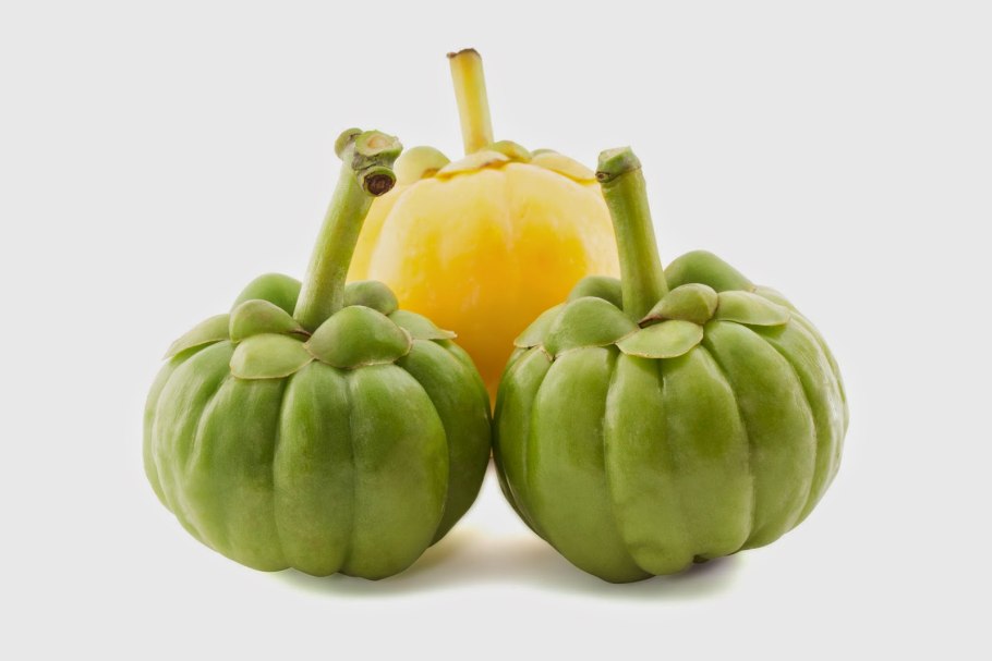 Гарциния слим