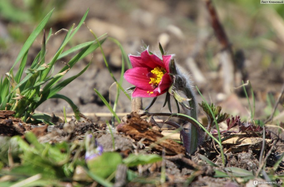 Прострел макро