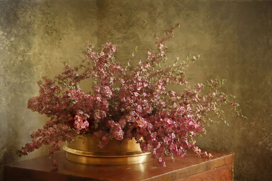 Кормовое растение с сиреневыми цветами