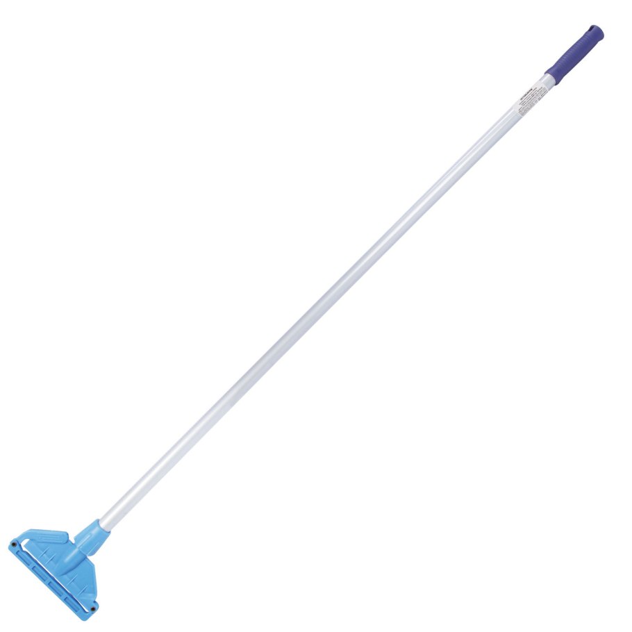 Блу Джей птица