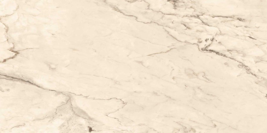 Птичка Сойка голубая