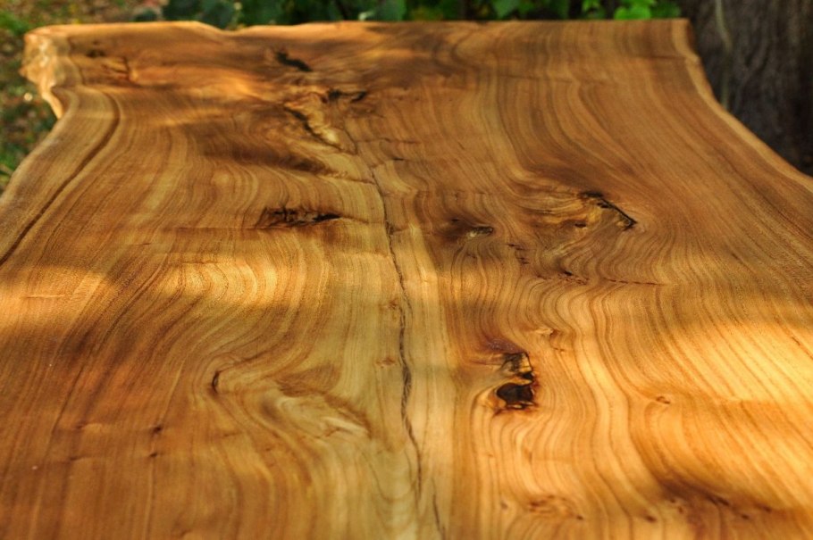 Карагач фактура древесины