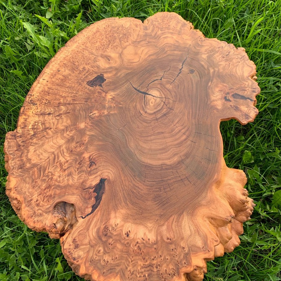 Спил слэб карагач