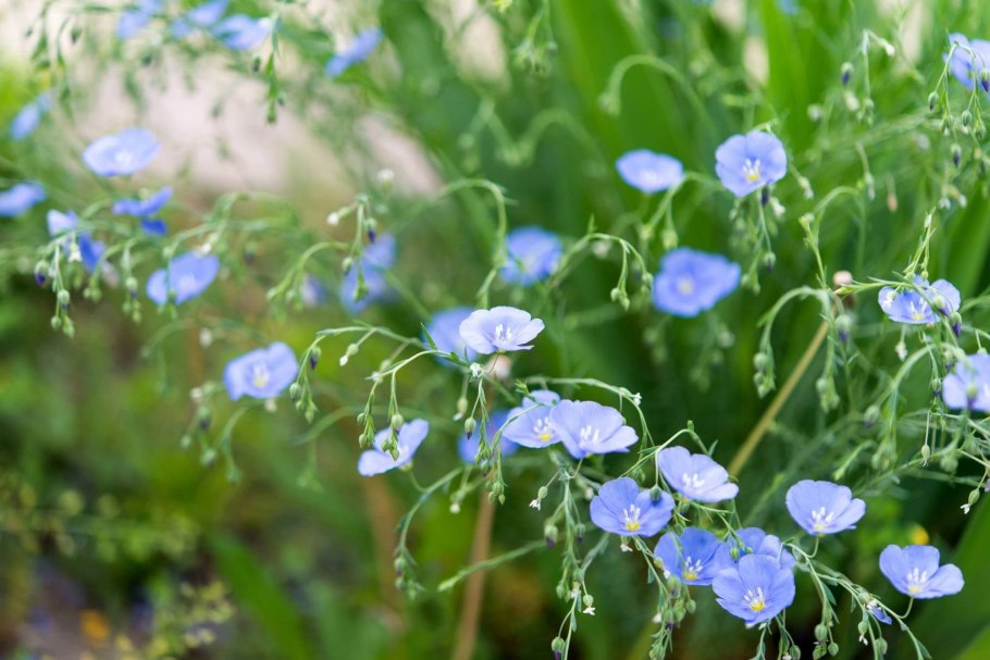 Горчичный лен ткань