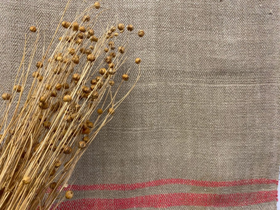 Сухоцвет льна