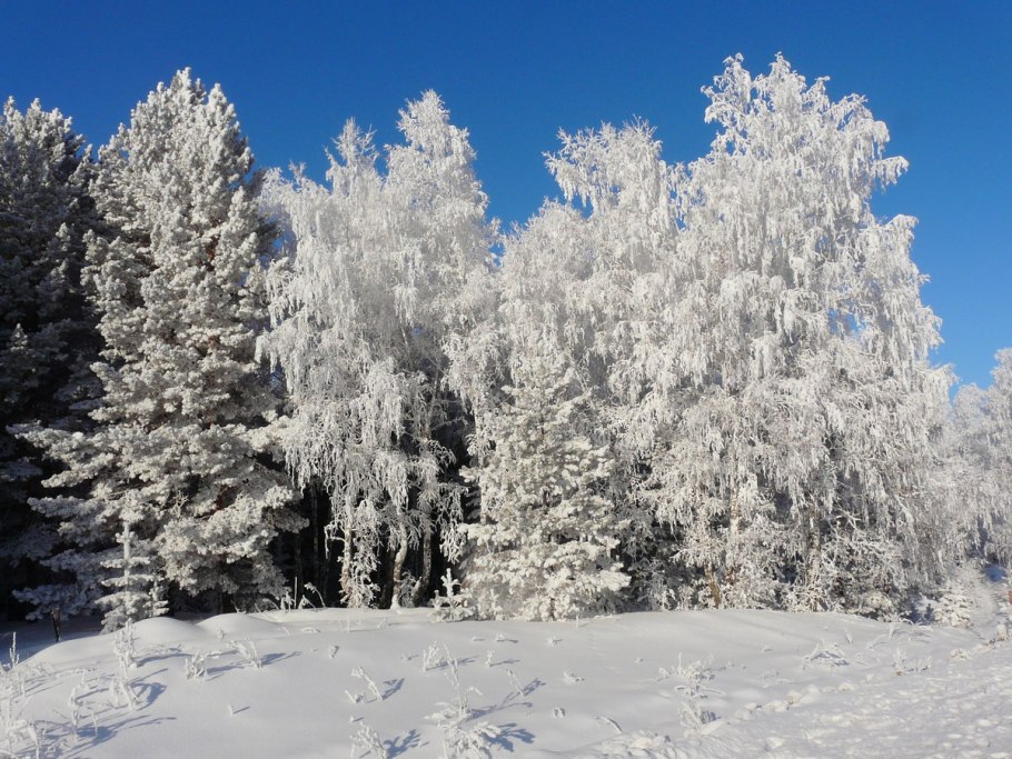 Зима в Сибири