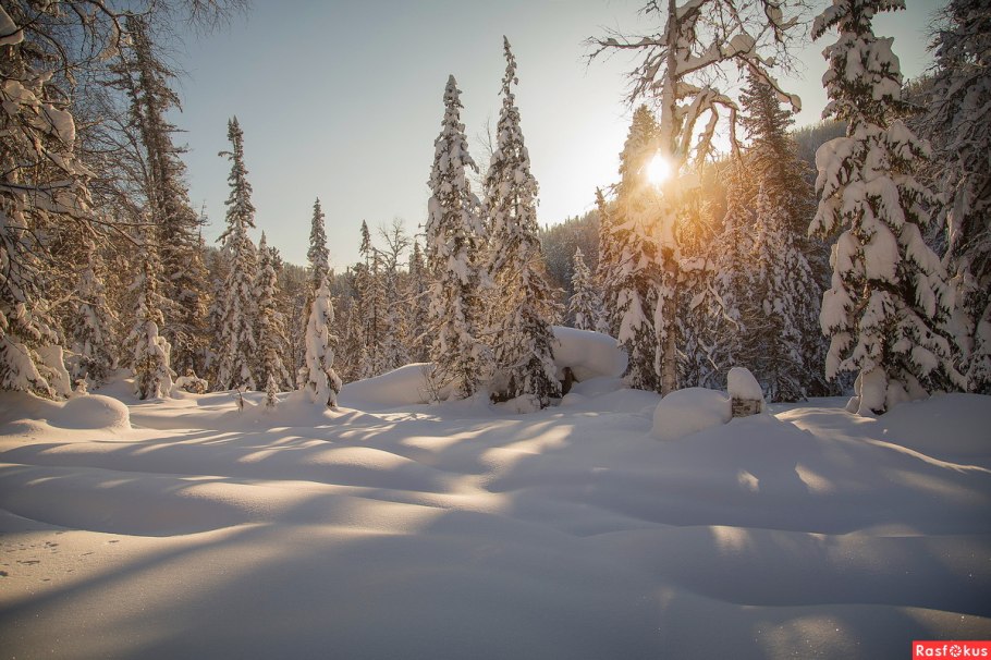 Сибирь Снежная Тайга