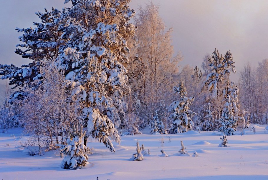 Сибирь зимой