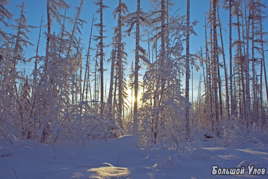 Север Тайга