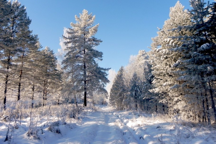 Природа Сибири зима