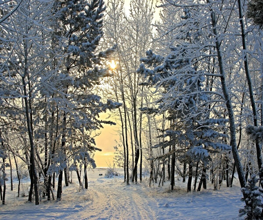 Зима в Сибири