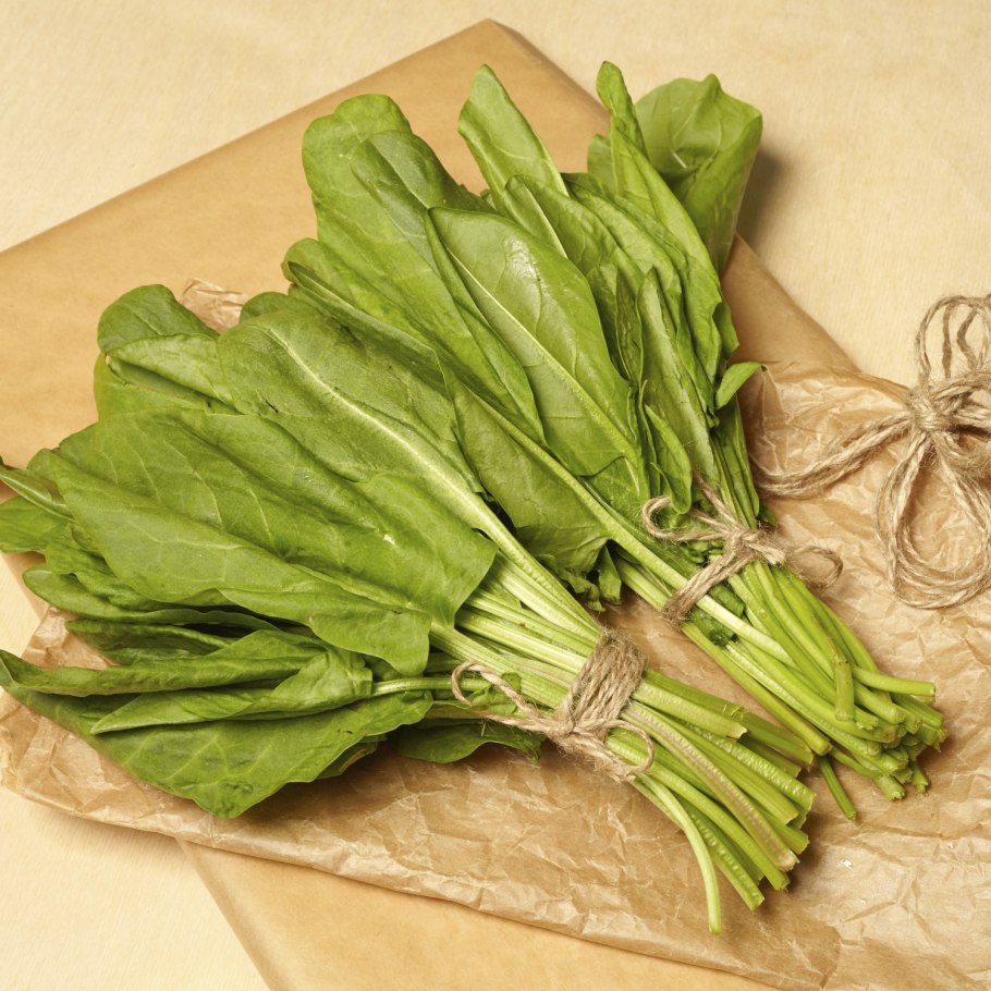 Щавель Беллевилль