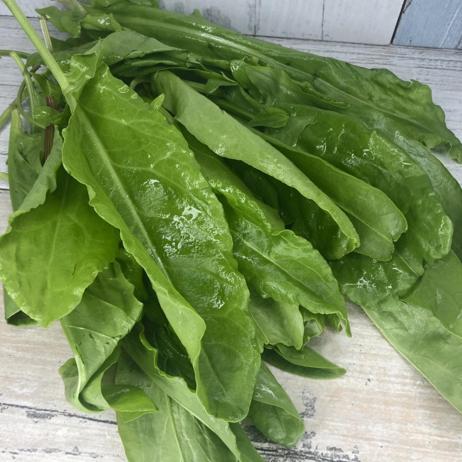 Щавель Шпинатный