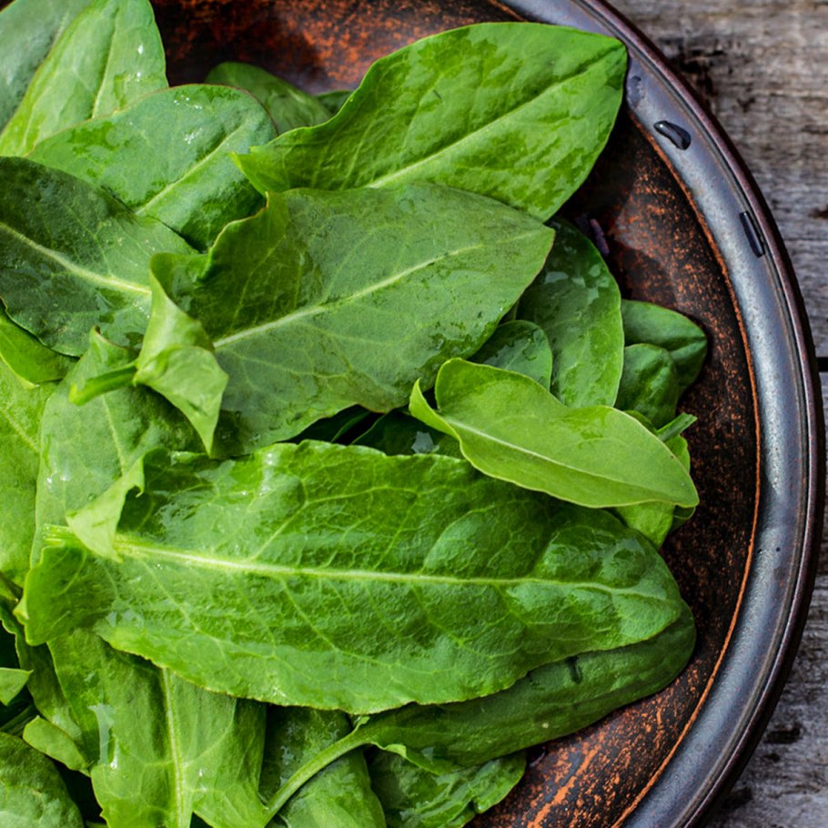 Щавель малахит (а)