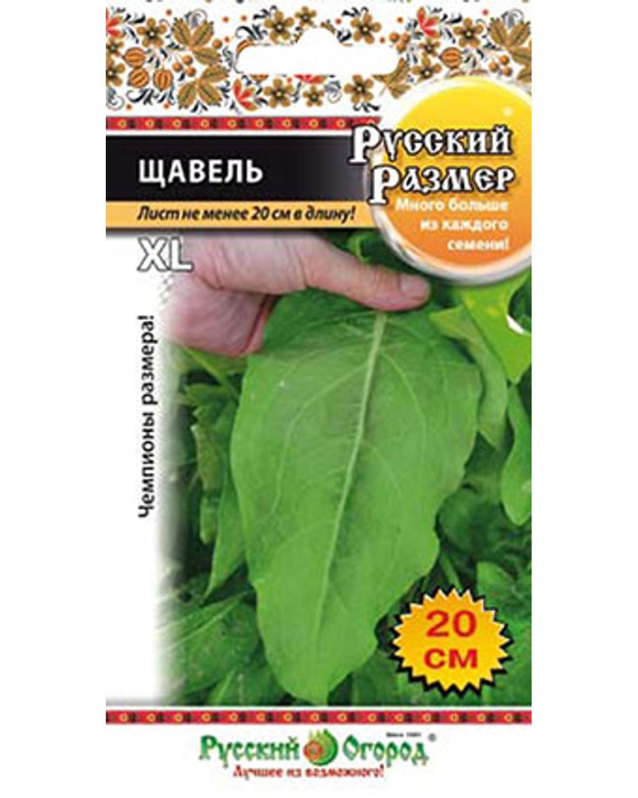 Щавель русский размер русский огород