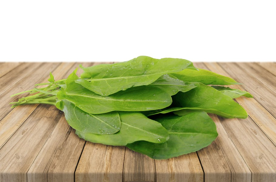 Щавель кислый