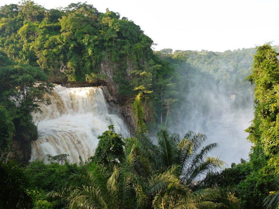 Африка Кения джунгли