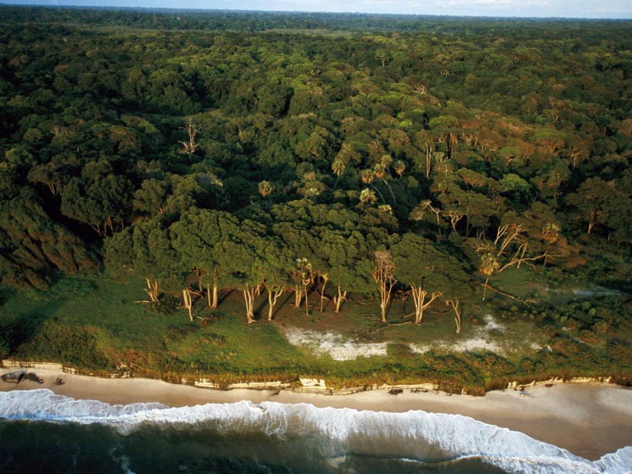 Национальный парк лоанго габон