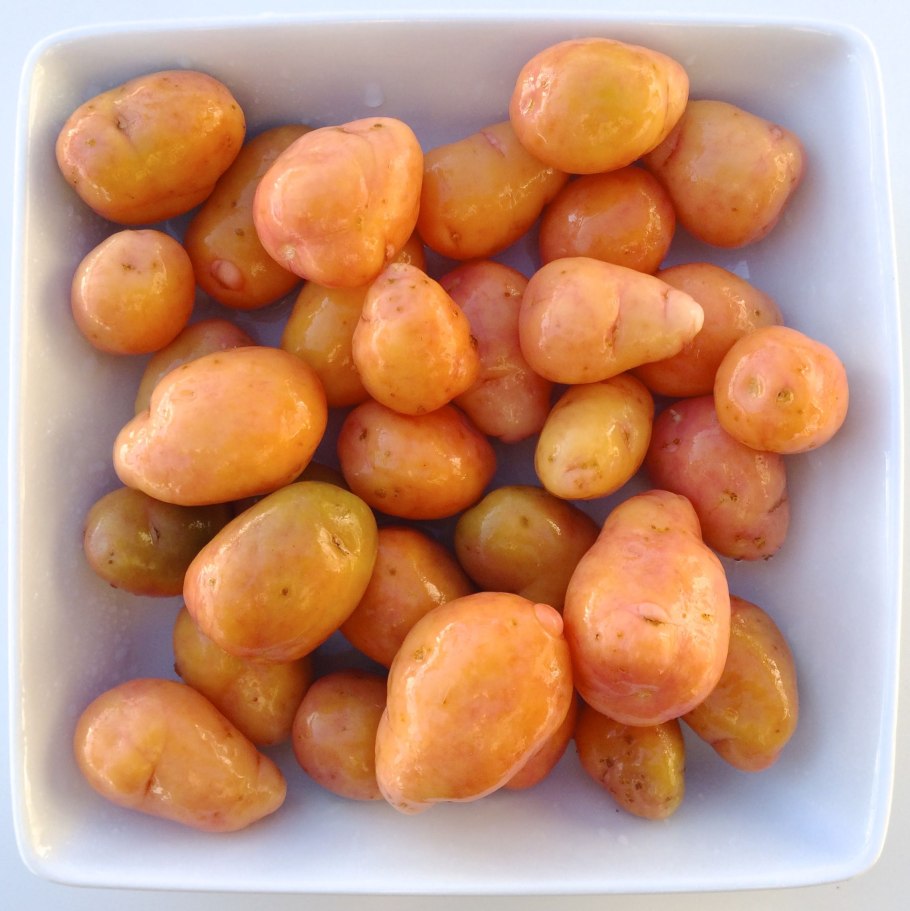 Кислица клубненосная