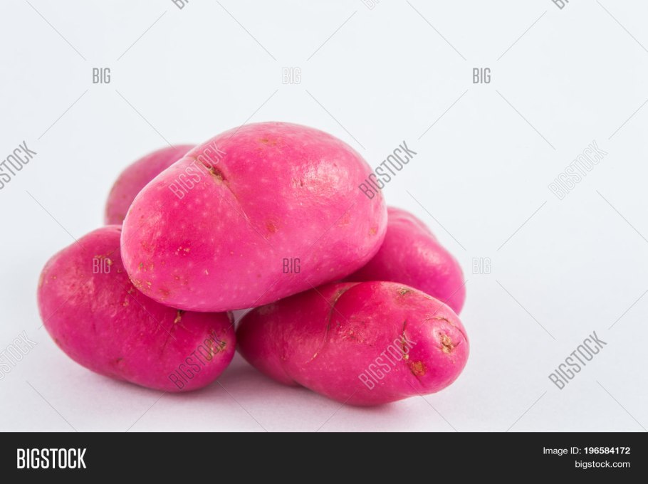 Корнеплод моркови